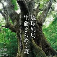 <琉大写真部>新歓