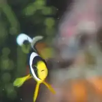 水中写真好きなダイバーの為のグループ