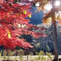 関東御朱印巡り【神社仏閣好き】(雑談多め、ダジャレあり)