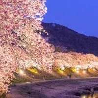 伊豆好きな人集まれ😄　海やドライブ旅行する際の情報収集だけでも気楽にどうぞ😁