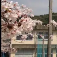 西気賀100景