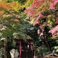 ［関東］神社仏閣・御朱印について語ろう☆