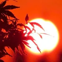 「日本の風景」 風景写真、カメラが好きな人