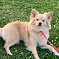 県総ファミリー🐶🐾🐕