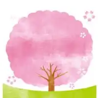 【広島】お花見＆開花情報🌸写真＆スポット/ 桜 さくら 梅 ウメ 春