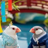🌺文鳥カフェ🌺 文鳥＊野鳥＊小鳥好き💕 憩いサロン