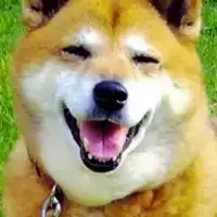 愛犬の会