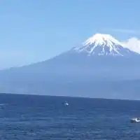 獣医師　平郡先生の健康雑学