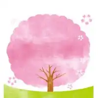 【大阪】お花見＆開花情報🌸写真＆スポット/ 桜 さくら 梅 ウメ 春