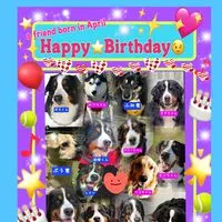 ALL 🐾JAPAN🐾BERNESE🐾CLUB
