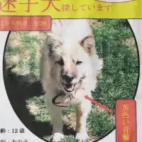 チョチちゃん探せ★