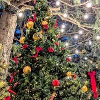 💐日本各地の魅力の発見と、旅が大好きな方のための新しいOPENCHAT🛫🚄🚞🚌🚙🚶💐