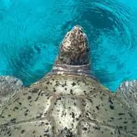 お魚好きグループ