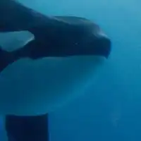 水族館好きの溜まり場