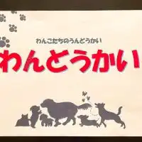 10/28 わんどうかい🐶写真館