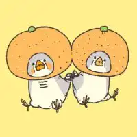 キンカチョウ好き雑談
