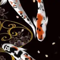 割烹  めだか亭