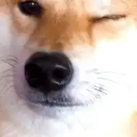 ぐねるの会