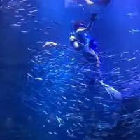 京都水族館