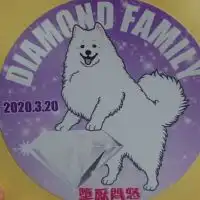 ダイヤモンド会
