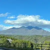ワンコ💚八ヶ岳南麓