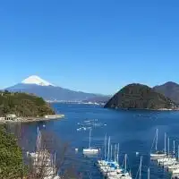 甲斐犬(日本犬)好きの輪を広げよう部屋