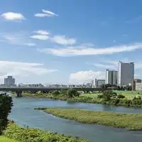 中原区鼻ぺちゃ犬の会
