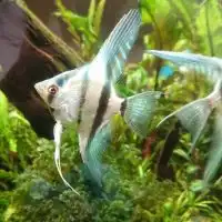 AquaRium楽しもう！in北海道